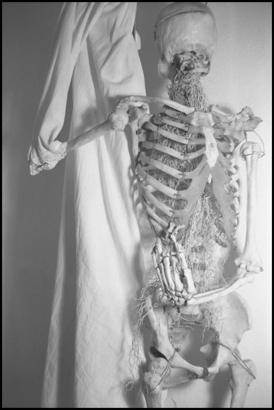 Untitled photograph