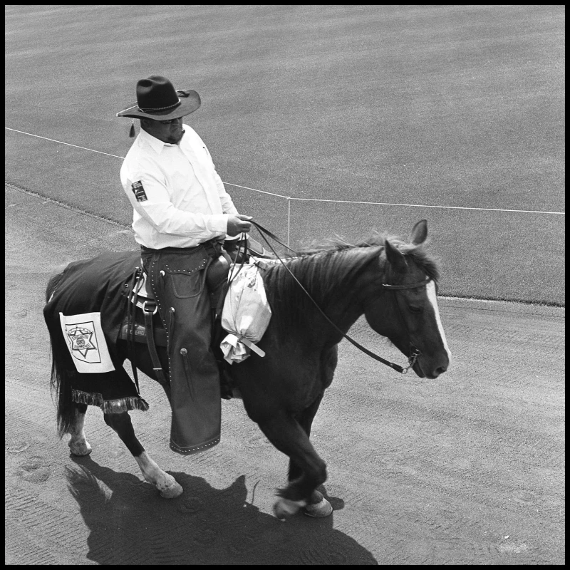Untitled photograph
