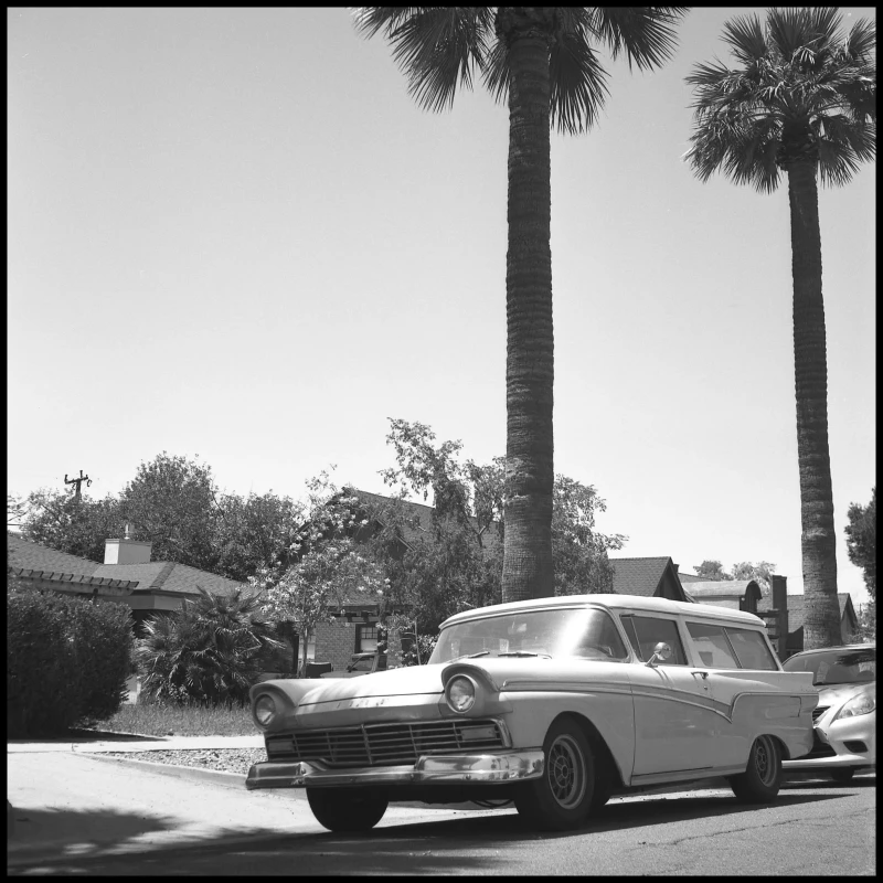 Untitled photograph