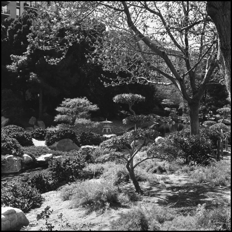 Untitled photograph