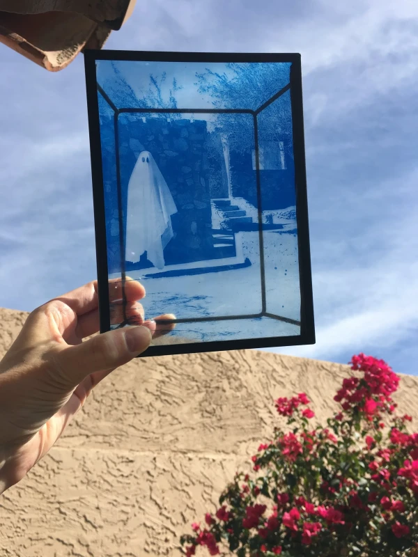Untitled, cyanotype print