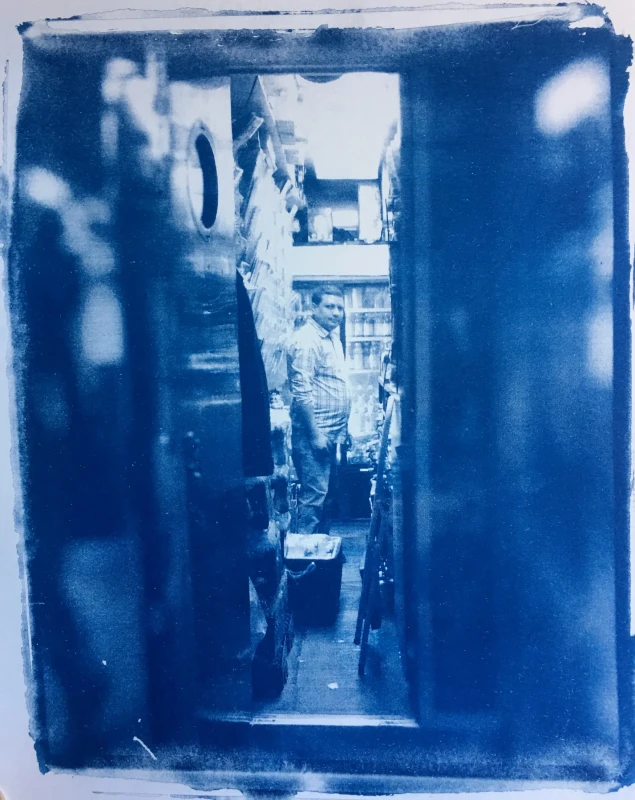 Untitled, cyanotype print