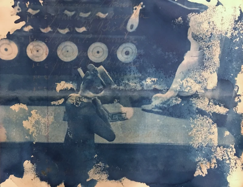 Untitled, cyanotype print
