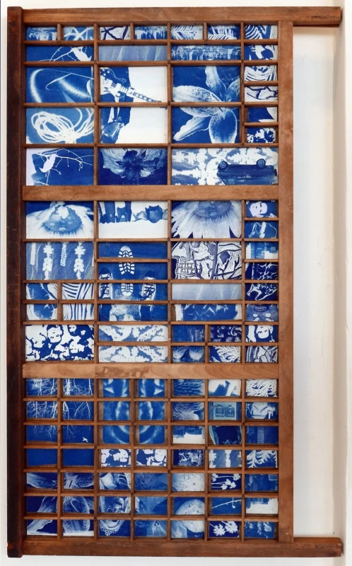 Tray, cyanotype print